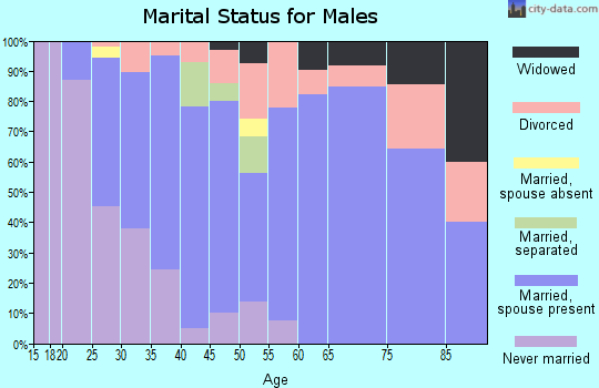 Zip code 15840 marital status for males