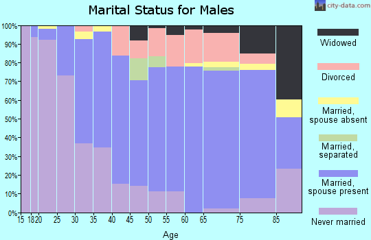 Zip code 15851 marital status for males