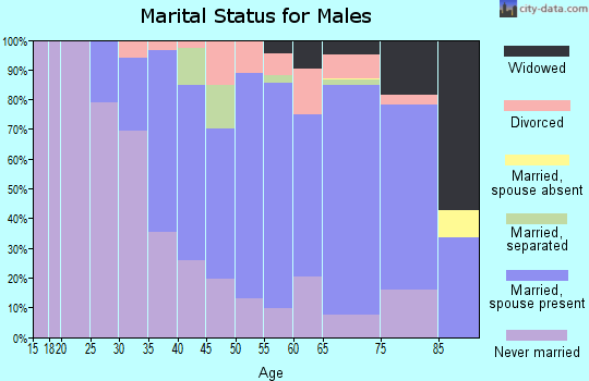 Zip code 15857 marital status for males