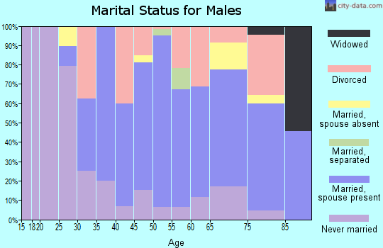 Zip code 15860 marital status for males
