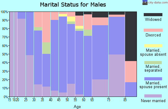 Zip code 15864 marital status for males