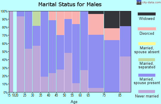 Zip code 15865 marital status for males
