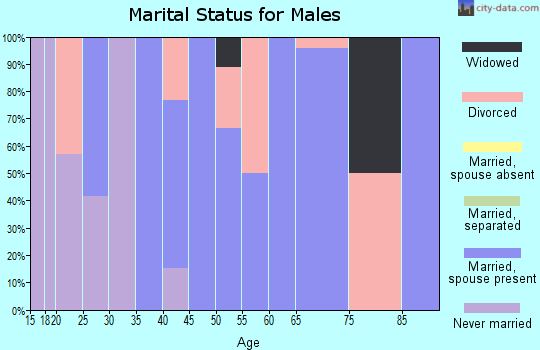 Zip code 15866 marital status for males