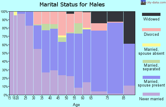 Zip code 15902 marital status for males