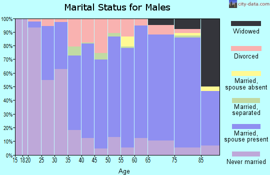Zip code 15904 marital status for males