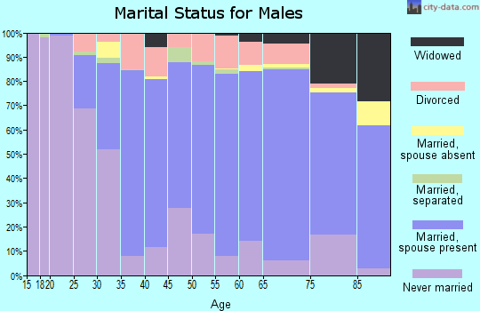 Zip code 15905 marital status for males