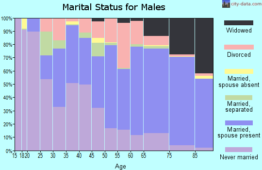 Zip code 15906 marital status for males