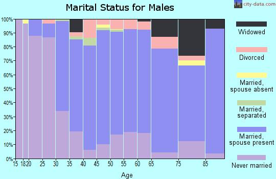 Zip code 15909 marital status for males