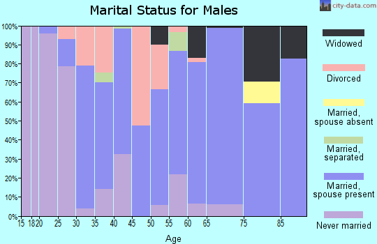 Zip code 15923 marital status for males