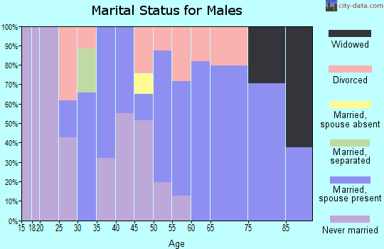 Zip code 15924 marital status for males