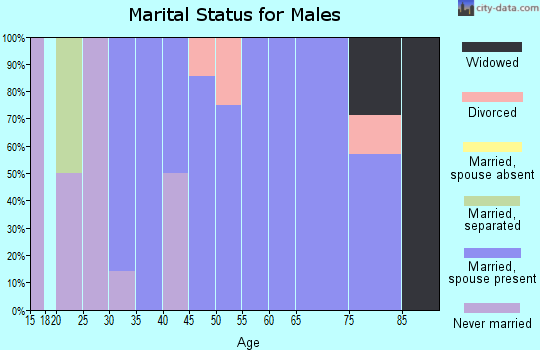 Zip code 15925 marital status for males