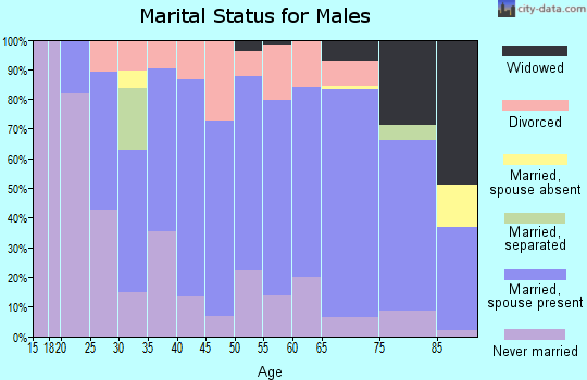 Zip code 15926 marital status for males