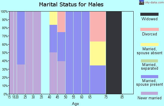 Zip code 15927 marital status for males