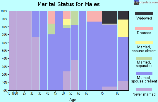 Zip code 15928 marital status for males