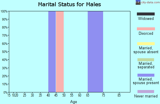Zip code 15929 marital status for males