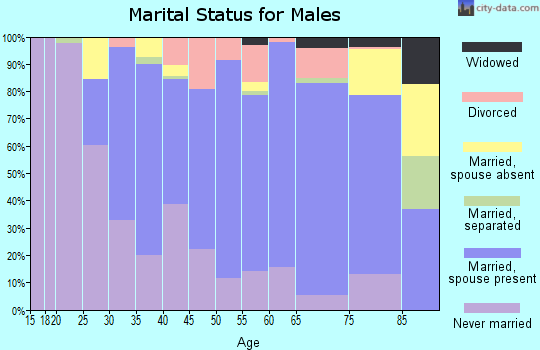 Zip code 15931 marital status for males