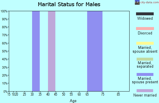 Zip code 15934 marital status for males