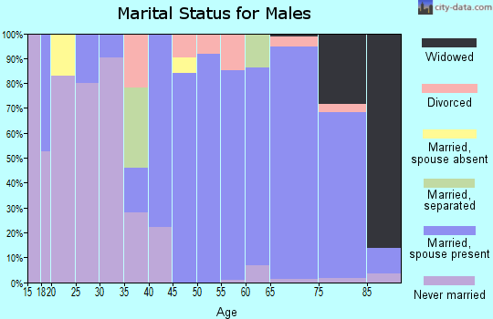 Zip code 15935 marital status for males