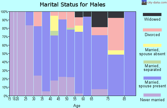 Zip code 15936 marital status for males