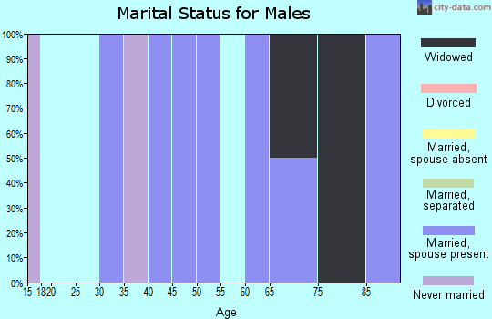 Zip code 15937 marital status for males