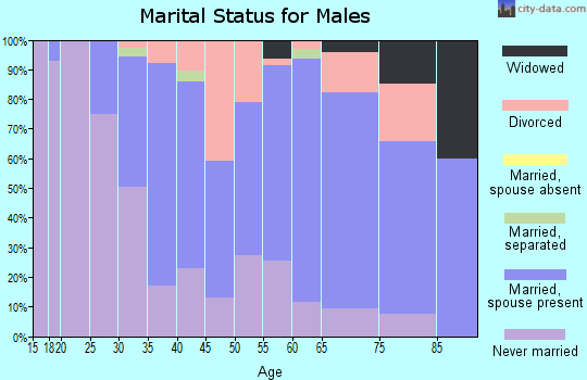 Zip code 15938 marital status for males