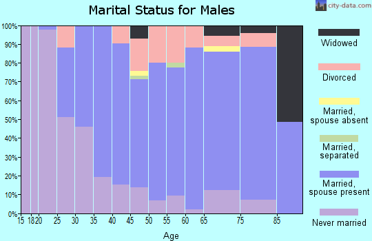 Zip code 15944 marital status for males