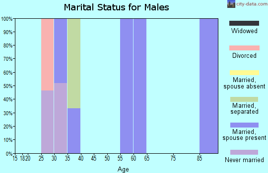 Zip code 15948 marital status for males