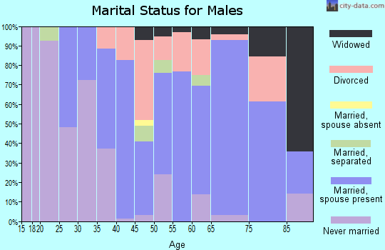 Zip code 15954 marital status for males