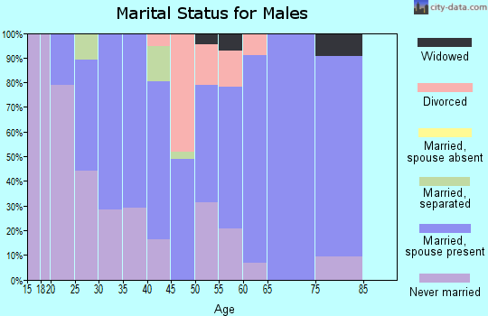 Zip code 15955 marital status for males