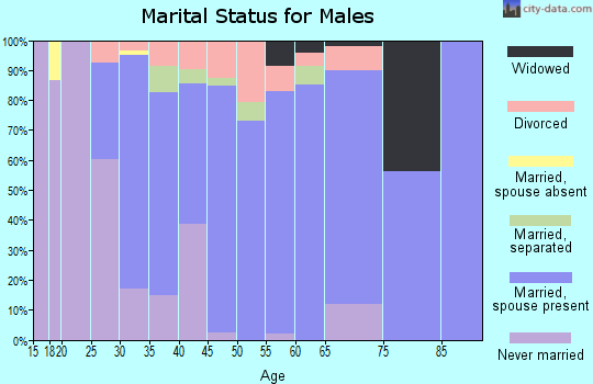 Zip code 15956 marital status for males