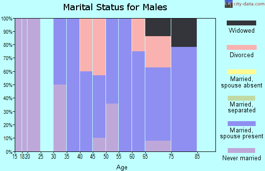 Zip code 15957 marital status for males