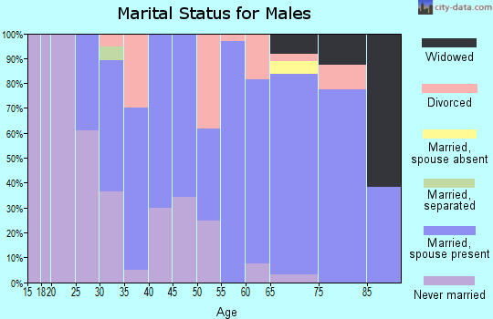 Zip code 15958 marital status for males