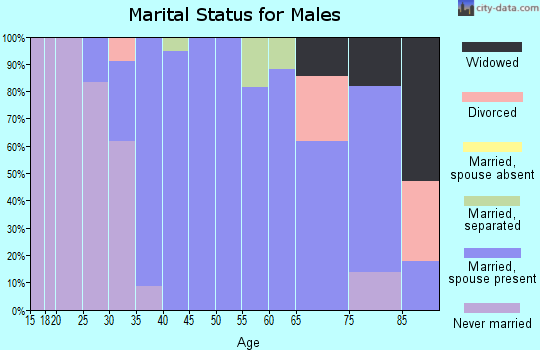Zip code 15961 marital status for males