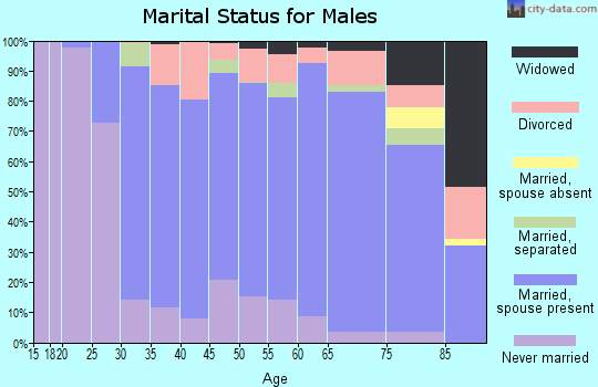 Zip code 15963 marital status for males