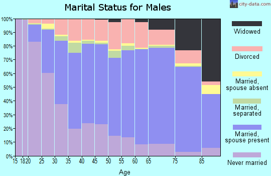 Zip code 16001 marital status for males