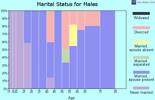 Zip code 16027 marital status for males
