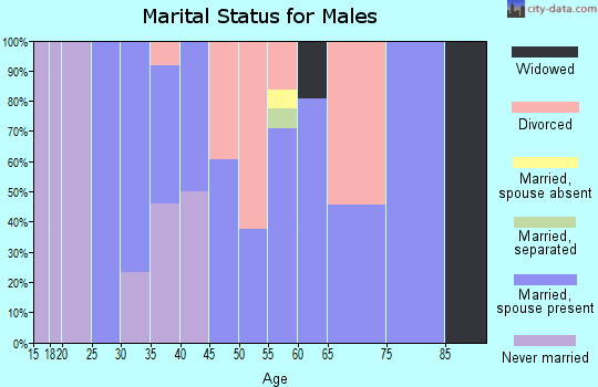 Zip code 16029 marital status for males