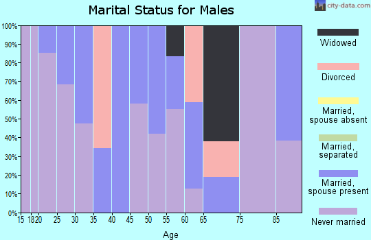 Zip code 16045 marital status for males