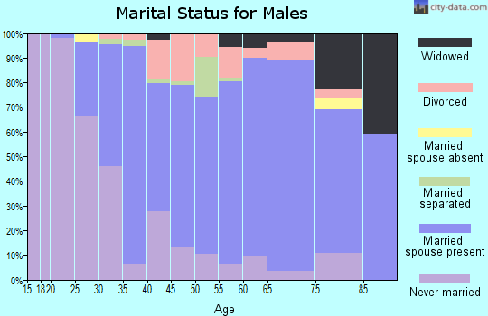 Zip code 16049 marital status for males