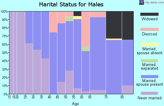 Zip code 16063 marital status for males