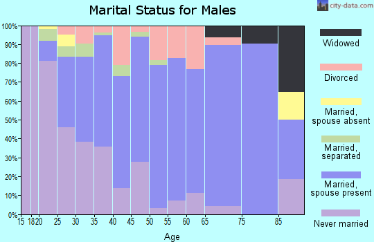 Zip code 16102 marital status for males