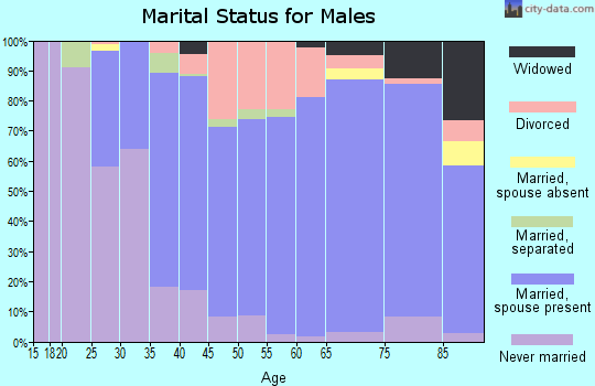 Zip code 16105 marital status for males