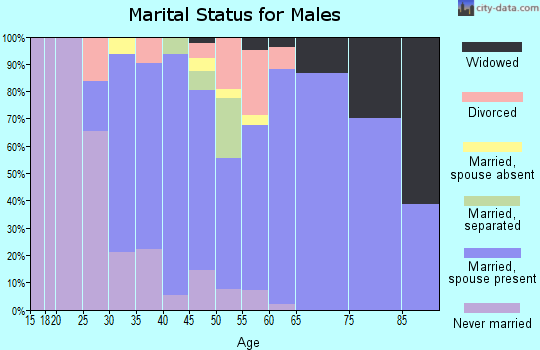 Zip code 16115 marital status for males