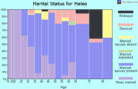 Zip code 16120 marital status for males