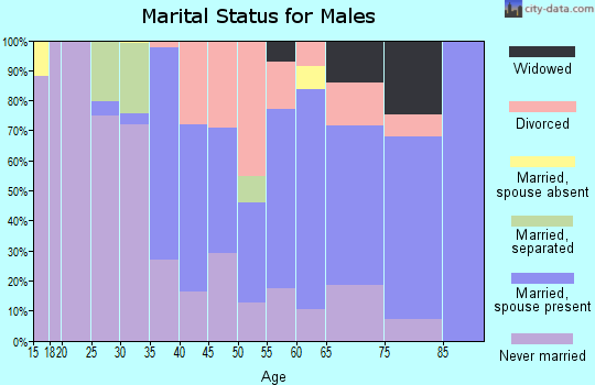 Zip code 16121 marital status for males