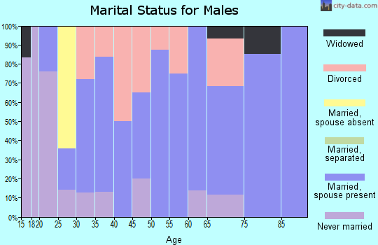 Zip code 16131 marital status for males