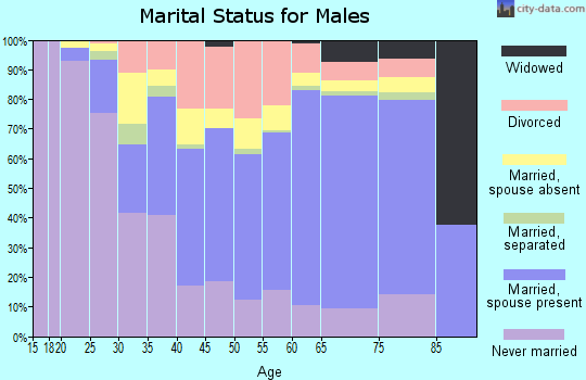 Zip code 16137 marital status for males