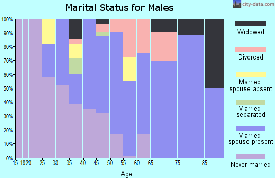 Zip code 16141 marital status for males
