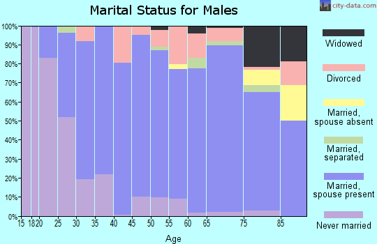 Zip code 16142 marital status for males