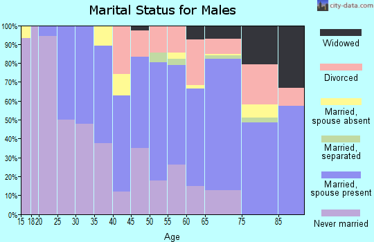 Zip code 16146 marital status for males